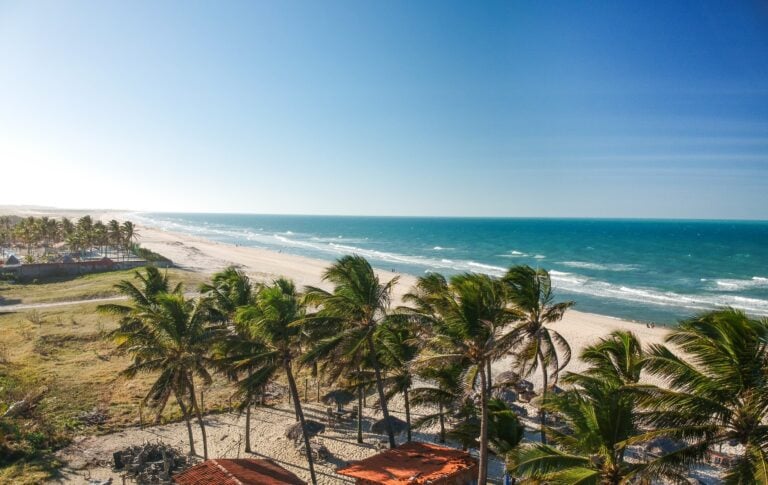 Imagem aérea de uma praia no Ceará com palmeiras balançando ao vento